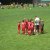 Sportfest 2010